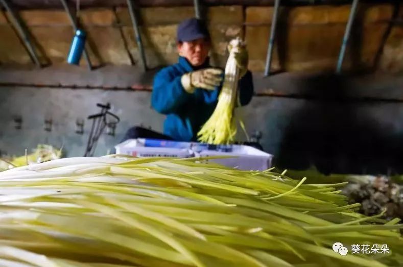 1679035467537801.jpg 微信圖片_20230317144634.jpg